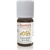 Hanus Silica kadidlová 5 ml