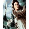 Zuty – Arwen na koni (Pán Prsteňov), 40 × 50 cm, plátno napnuté na rám 8596530237938