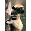 Mammals of Madagascar: A Complete Guide