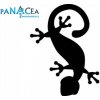 Samolepka Jašterica black (12 cm) (C4)