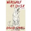 The Werewolf at Dusk: And Other Stories - David Small