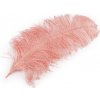 Pštrosie perie dĺžka 50-55 cm korálová svetlá 1ks