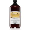 Davines Naturaltech Nourishing šampón pre dehydratovanú pokožku hlavy a suché krehké vlasy 1000 ml