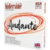 Hidersine Andante Violin set