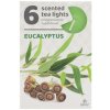 Čajové voňavé/6 Eucalyptus 37745 - Sviečky