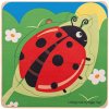 Bigjigs Toys Vkladacie puzzle Životný cyklus lienky