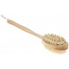 PALSAR7 Body Brush kefa na telo 1 ks