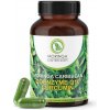 Moringa Caribbean Koenzým Q10 & Kurkumin - Čistý prášok zo sušených listov Moringa Caribbean vo veganských kapsuliach obohatený o koenzým Q10 a kurkumin, 120 kapsúl