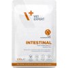 VetExpert VD cat Intestinal diétne krmivo v kapsičke pre mačky s poruchami trávenia 100g