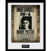 Harry Potter Zarámovaný plagát - Nežiaduce č. 1