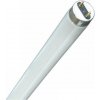 BELLIGHT T8 Žiarivka neónová trubica 10W/865 330mm
