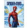 Deka Spiderman light