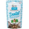 Pochúťka Brit Care Cat Snack Dental 50g