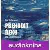 Přehodit řeku - Ilja Kučera
