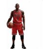 NBA Collection Real Masterpiece Action Figure 16 Lebron James Special Edition 30 cm ENBARM-1090