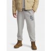 Pánske tepláky Under Armour UA Icon Flc Graphic Jgr-GRY Šedá LG