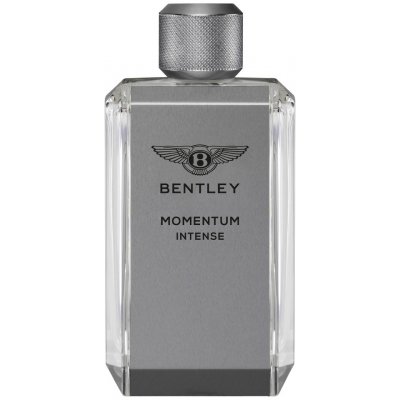Bentley Momentum Intense Parfémovaná voda 100ml, pánske