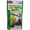 HIKARI Mini Algae Wafers 85 G