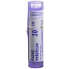 AURUM METALLICUM 30CH granule 4 g