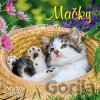 Mačky, nástenný, 33 x 33 cm 2026