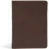CSB She Reads Truth Bible, Brown Genuine Leather, Indexed: Notetaking Space, Devotionals, Reading Plans, Easy-To-Read Font
