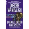Echoes In The Darkness
