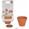 Little Dutch Kvetináč jahody Forest Friends