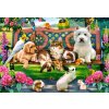 CASTORLAND Puzzle Maznáčikovia v parku 1000 dielikov