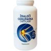 Olimpex Žraločí chrupavka Cartilage 250 kapsúl