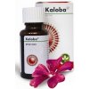 Kaloba gtt por (liek.) 1x50 ml