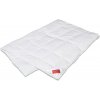 Hefel Textil PÁPEROVÁ PRIKRÝVKA, 140/200 cm, perie, páperie - Prikrývky & vankúše - 004636006201