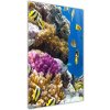 Vertikálny foto obraz akrylový do obývačky Koralový útes 50x100 cm