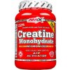 Amix Nutrition Creatine Monohydrate 1000 g