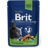Brit Premium Cat Sterilised Chicken 24 x 100 g