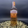 Gordon's Mediterranean Orange 37,5% 0,7 l (čistá fľaša)