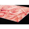 DIMEX | Plexisklo za kuchynskú linku PGT-10060-052 | 100 x 60 cm Ruže + Plexisklo za kuchynskú linku DIMEX v rozmere 100 x 60 cm, Ruže + Lepidlo zadarmo