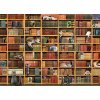 COBBLE HILL Puzzle Mačacia knižnica 1000 dielikov