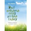 Pod nohama cítíš stébla trávy - Else Müller