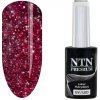 NTN Gél lak NTN premium Show Flash 239 5 g