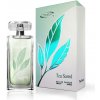 Chatler Tea Scent edp 100ml