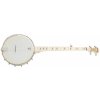 Deering Goodtime Americana Banjo