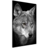 Vertikálny foto obraz fotografie na skle Portrét vlka 50x100 cm