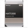 SYNOLOGY HDD SATA 16 TB HAT5300 16 TB SATA 7,2k 3,5 512 (HAT5300-16T)