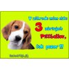 Pozorpes.sk, výstražná tabuľka (Bígl)