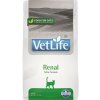 FARMINA Vet life renal cat 400g
