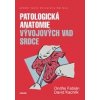 Patologická anatomie vývojových vad srdce - Fabián Ondřej Kachlík David