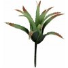 Lucky Reptile Tillandsia, cca 17 cm