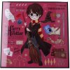 Nemesis Now Obraz Harry Potter - Harry Potter Crystal Clear Art Pictures (Nemesis Now)