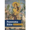 Panorama Bible - Nový zákon - Stephen J. Binz