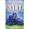 E-kniha Do údolí mlh - 2. svazek - Tad Williams